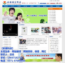 郑州专业网站建设推广 金水区专业网站建设