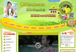 网站成功案例,互域东莞网络公司专业东莞网站建设,东莞网站设计
